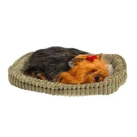 pecha! ベット PELUCIA PERFECT PETZZZ CACHORRO YORKSHIRE